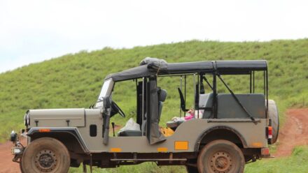 Jeep Safari