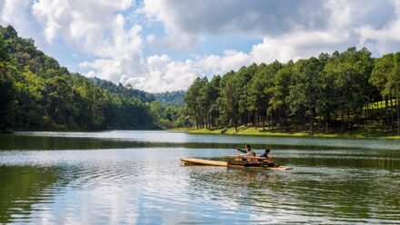 Bamboo rafting in Thekkady