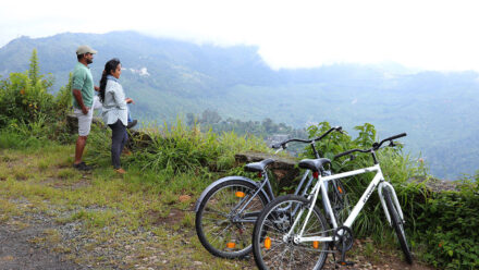 Trekking in Munnar