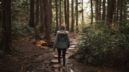 Forest bathing in Thekkady