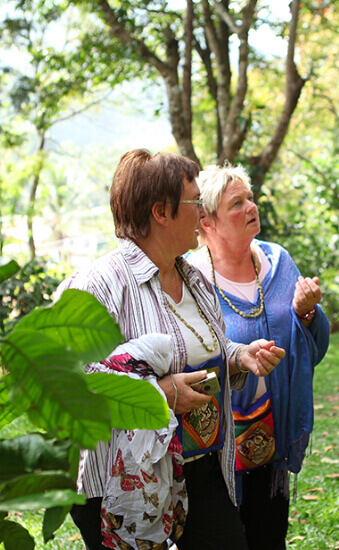 best honeymoon resorts in Kerala