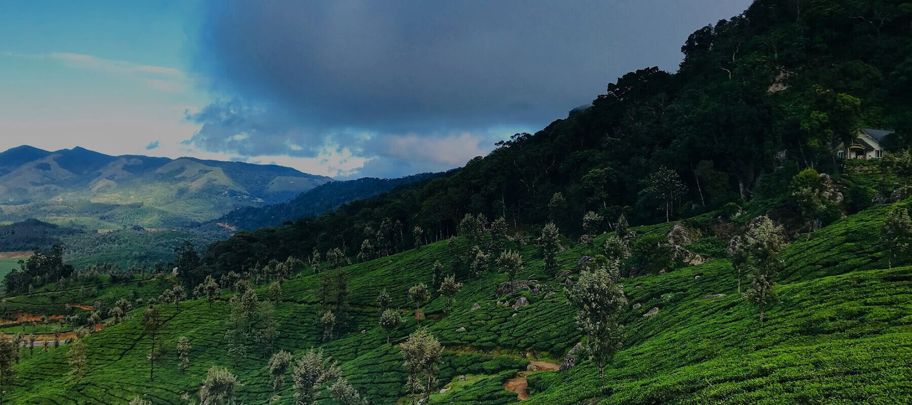 best resorts in Kerala