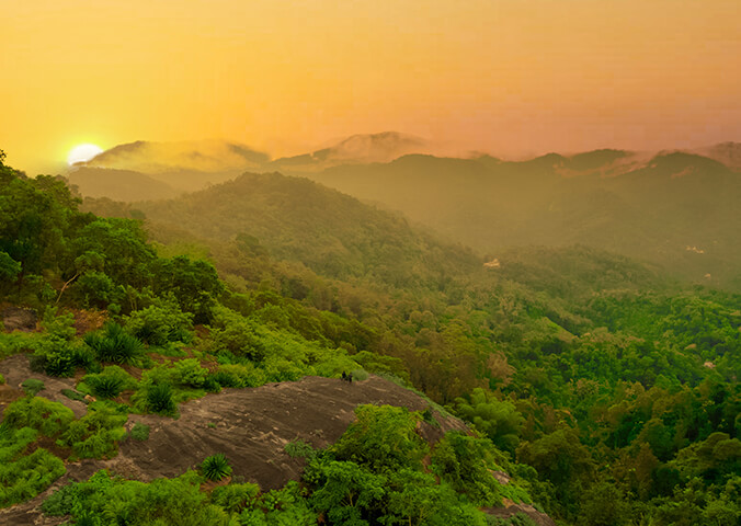 Munnar Resorts with Pool