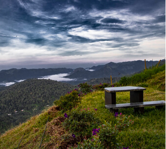 Munnar Resorts with Pool