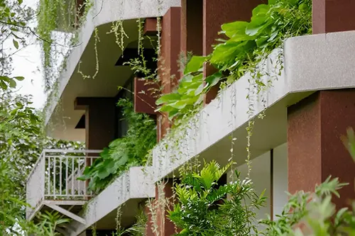 Kondody Hotels & Resorts